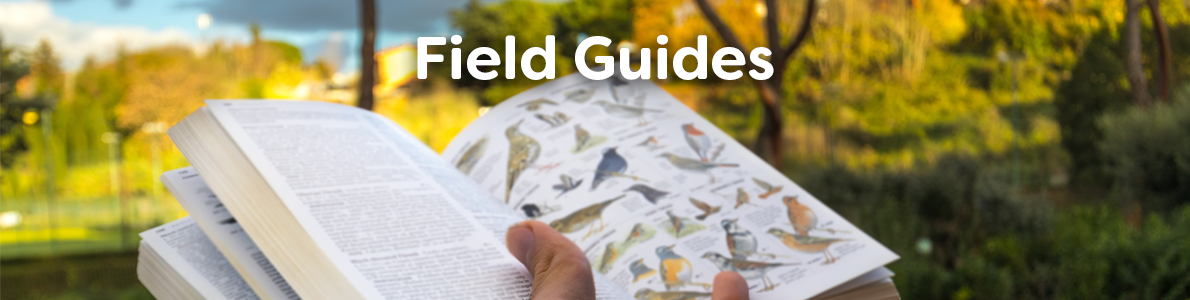 Field Identification Guides